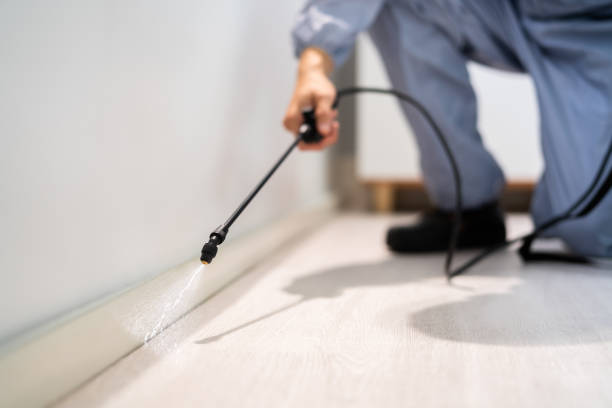 Licensed Termite Control service in Grosse Pointe, MI - Nex Pest Control