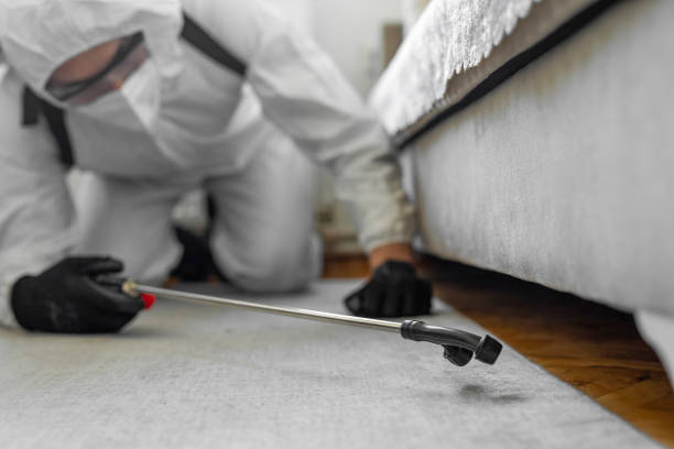 Professional Termite Control technician working in Grosse Pointe, MI