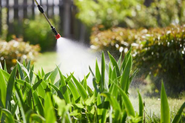 24/7 Emergency Termite Control experts in Grosse Pointe, MI