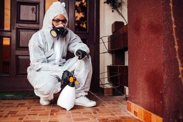 Reliable Termite Control contractor in Grosse Pointe, MI by Nex Pest Control
