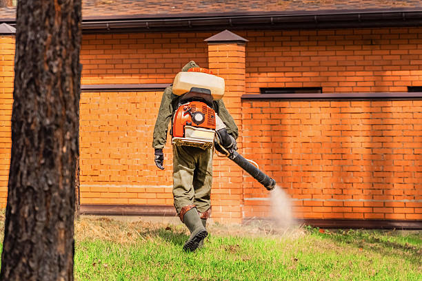 Top rated local Termite Control specialists in Grosse Pointe, MI